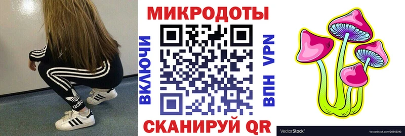 Псилоцибиновые грибы Psilocybine cubensis Цоци-Юрт
